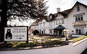 Bear Of Burton